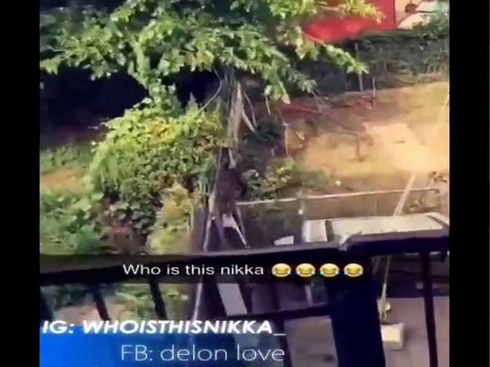 Who Is This Nikka Vine & Snapchat Compilation  Who Is This Nigga