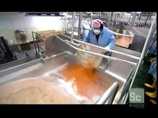 How It's Made Hot Dogs