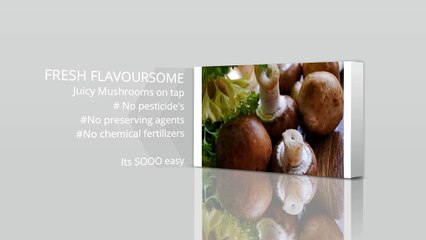 Buy Grow Your Own Mushroom Kit Online