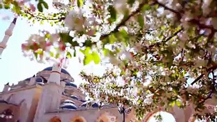 رحمان یا رحمان - ایک ایسی ویڈیو جسے آپ نے پہلے نہیں دیکھا ہوگا