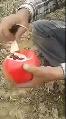Как правильно и быстро разрезать гранат