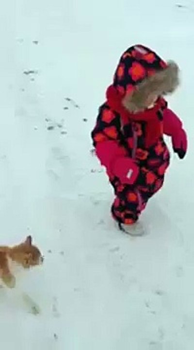 Коварное нападение кота сзади