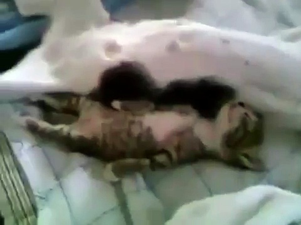После бурных выходных