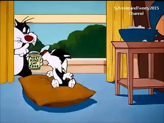 Sylvester and Sylvester jun. in CLAWS IN THE LEASE Part 1