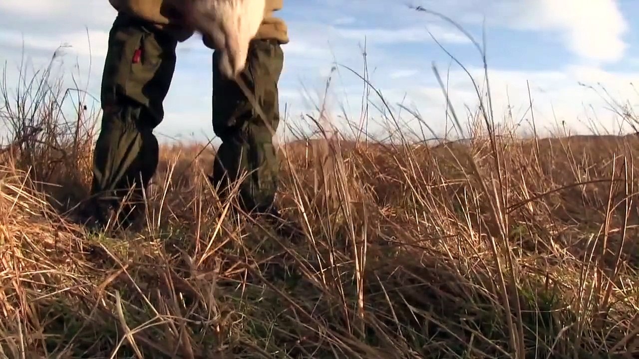 The Shooting Show Foxing on Skye and South African blesbok and ostrich