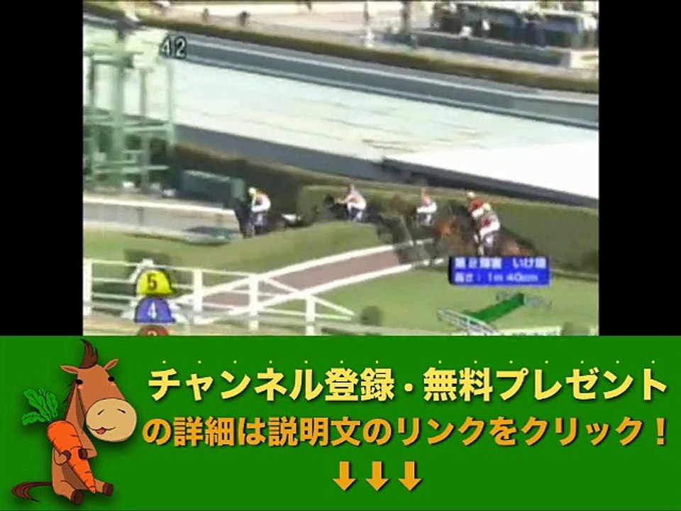 中山大障害（J・GI） 2010年 「競馬レース結果ハイライト」