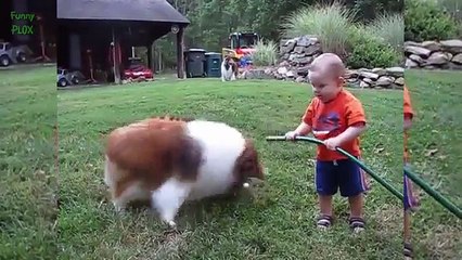 Most Funny and Cute Baby Videos of All Time [NEW HD]