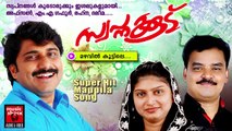 മഴവിൽ കൂട്ടിലെ.......Malayalam Mappila Album Songs New 2015 | Swapnakoodu | Afsal,M.A.Gafoor,Rahna