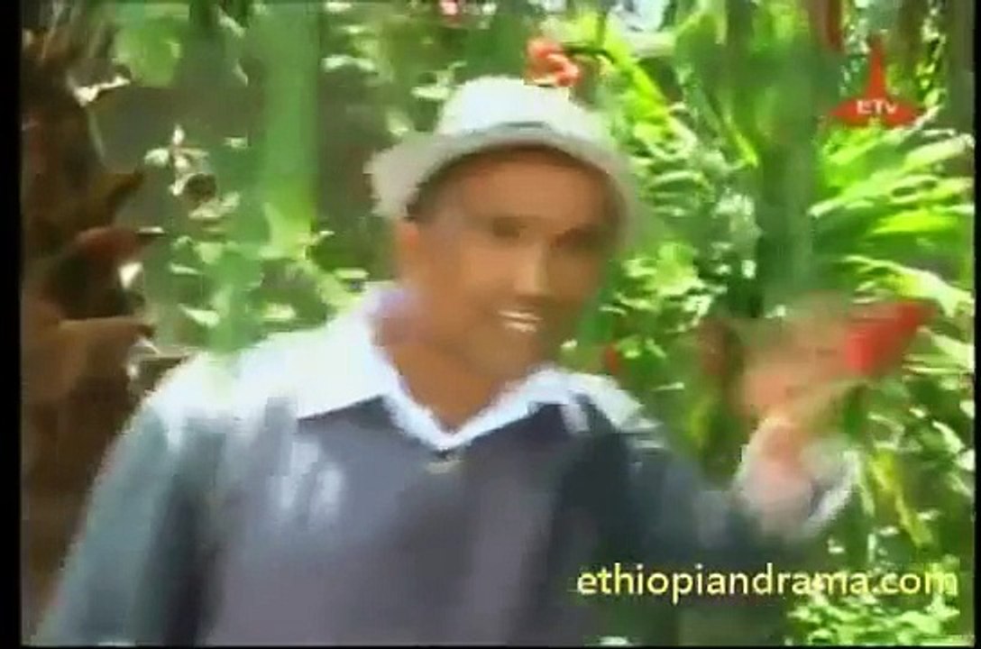 ቤቶች 29