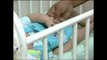 Brasil registra 1.761 casos suspeitos de microcefalia