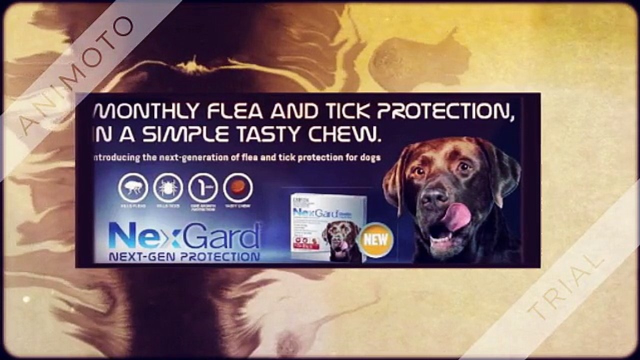 Love A Pet Australia