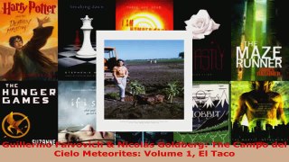 Read  Guillermo Faivovich  Nicolás Goldberg The Campo del Cielo Meteorites Volume 1 El Taco EBooks Online