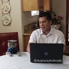 When your crush is in a relationship _ npmake