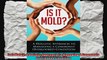Is It Mold A Holistic Approach To Managing A Commonly Overlooked Condition