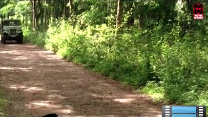 Malayalam Movie - Bharatheeyam - Part 3 Out Of 15 [Suresh Gopi,Suhasini,Kalabhavan Mani][HD]