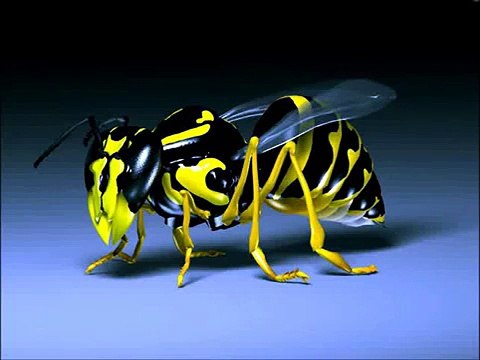 mix music electro rap magix music maker