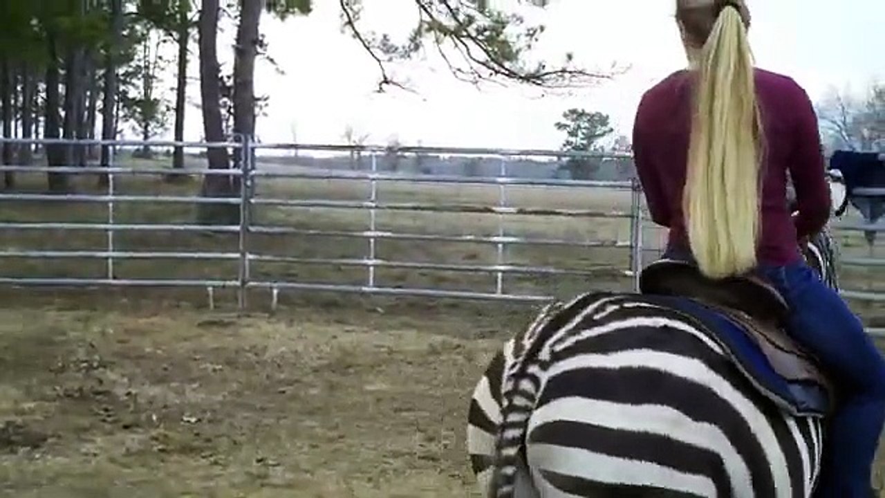 Riding Newman the Zebra