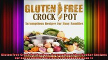 Gluten Free Crock Pot Recipes Scrumptious Slow Cooker Recipes for Busy Families Gluten