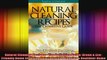 Natural Cleaning Recipes  The Definitive Guide Green  EcoFriendly Home Cleaning