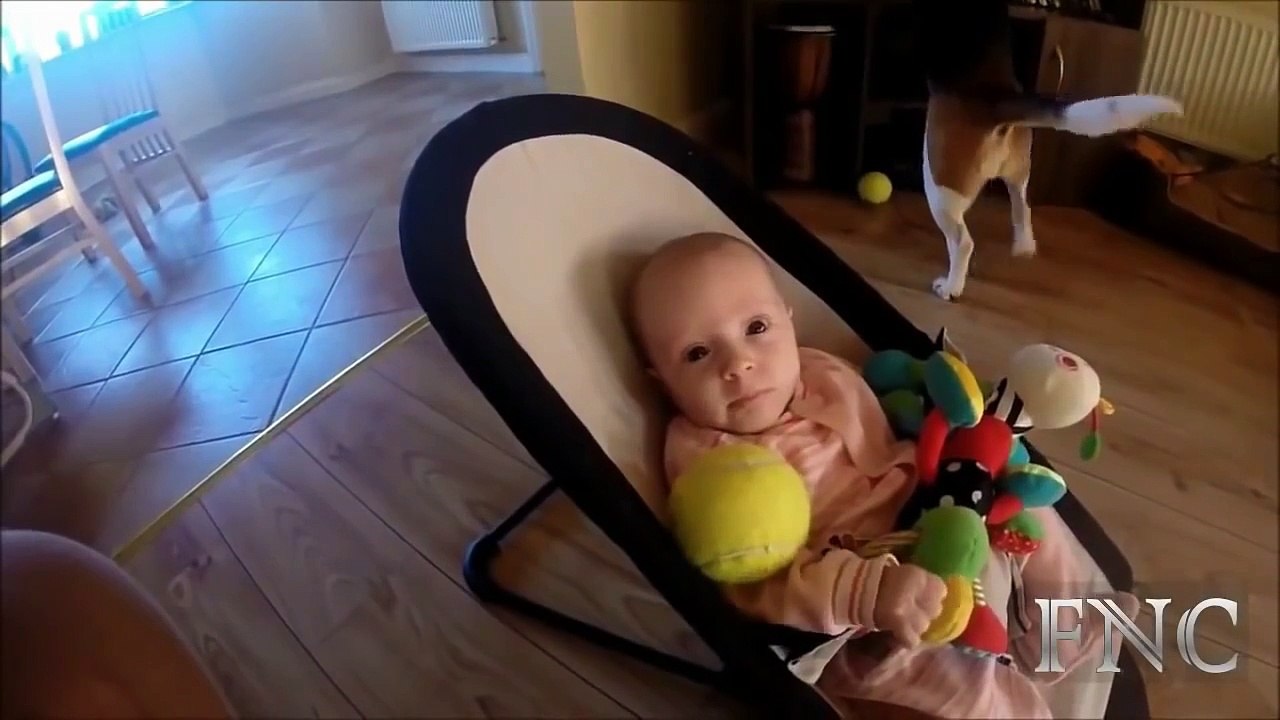 Mama Dog Takes Care Baby | So cute and sweet