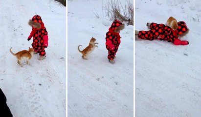 Kedi Küçük Çocuğu Yere Serdi