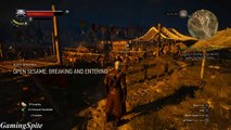 The Witcher 3 Hearts Of Stone Walkthrough Part 18 Open Sesame 4 of 6