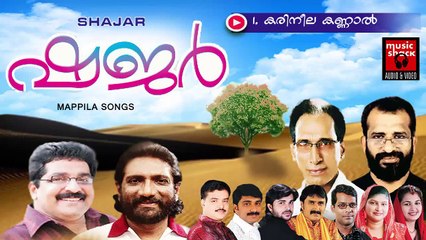 കരിനീല കണ്ണാൽ... Malayalam Mappila Songs | Karineela Kannal | New Mappila Album Songs 2015