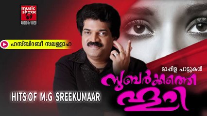 ഹസ്ബിറബ്ബി  സലള്ളഹ.... Malayalam Mappila Songs | Hasbirabbi Salallaha |New Mappila Album Songs 2015