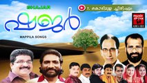 കൊടിമുല്ല ... Malayalam Mappila Songs | Kodimulla | New Malayalam Mappila Album Songs 2015