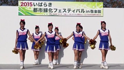2015/10/3 水戸商業高等学校チアダンス部ブルートゥインクルズ 4/4
