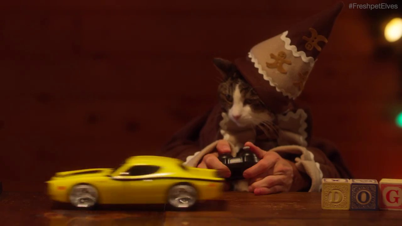 Des chiens et des chats avec des mains d'hommes fabriquent les jouets de Noël