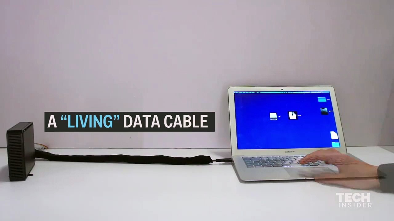 Shape-shifting Snake Robot!! must watch