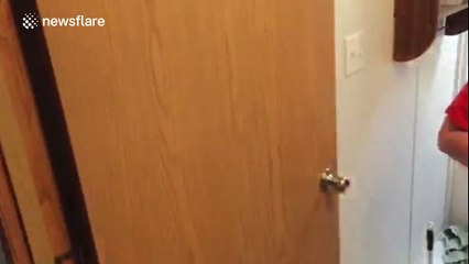 These puppies really don't like taking a bath!