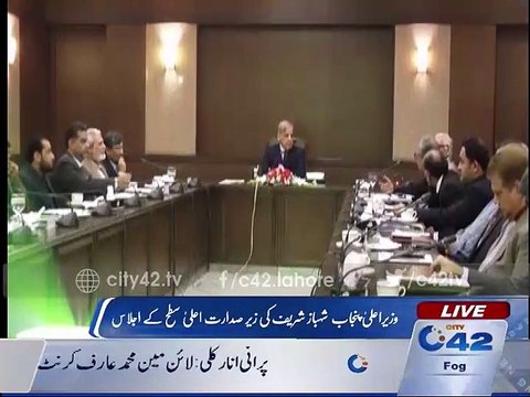 CM Punjab Shahbaz Sharif chairs high-level meeting