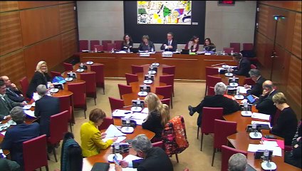 Intervention en Commission - Contrat d'Objectifs et de Moyens de Radio France