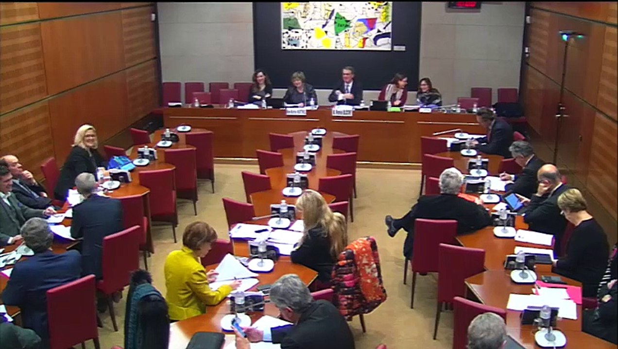 Intervention en Commission - Contrat d'Objectifs et de Moyens de Radio France