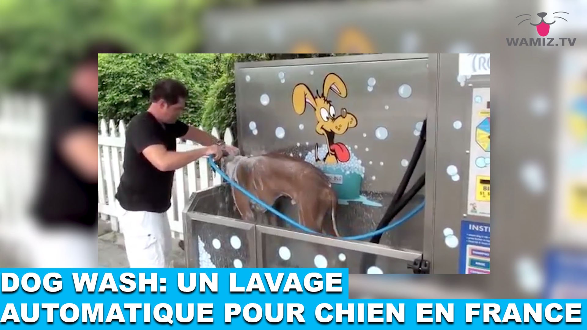 Dog Wash: un lavage automatique pour chien en France! À découvrir dans la  minute chien #63 - Vidéo Dailymotion