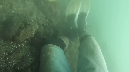 Pêcher sous l'eau avec une canne à pêche