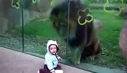 whatsapp funny videos 2015 cute baby