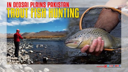 Trout Fish Hunting In Deosai Plains Pakistan