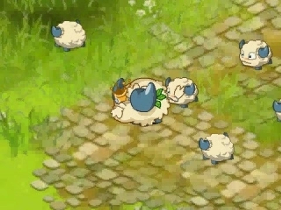 Dofus métamorphose