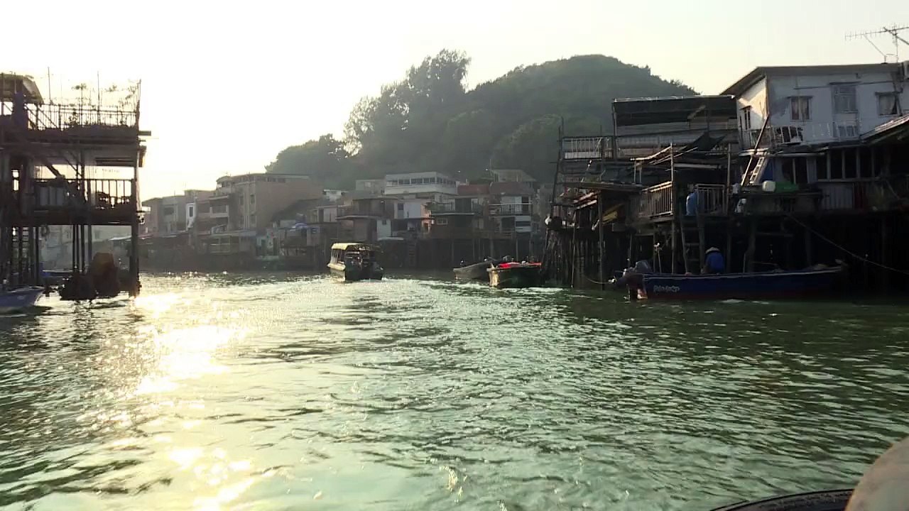 Rosa Delfine in Hongkong vor dem Aussterben