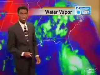 Web Classic: Gay Weatherman vs. Cockroach