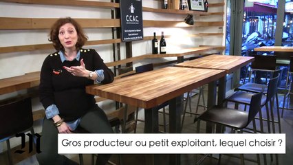 Vin : gros producteur ou petit exploitant, lequel choisir ?