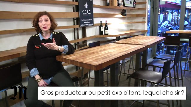 Vin : gros producteur ou petit exploitant, lequel choisir ?
