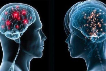 ¿Son diferentes el cerebro del hombre y la mujer?