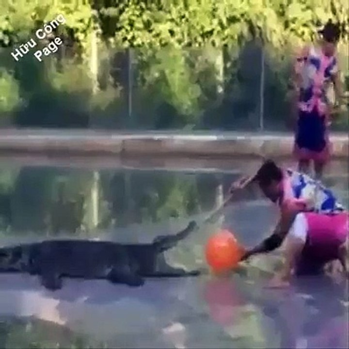 amazing and craziest moments of all the time
