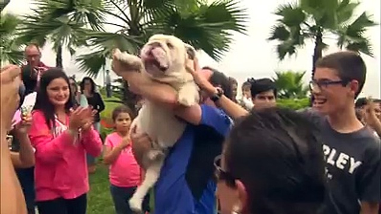 dog creat human tannell crossing record