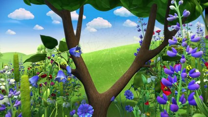 STСборник мультфильмов. ПИН-Код Смешарики. Новые серии 2015 года