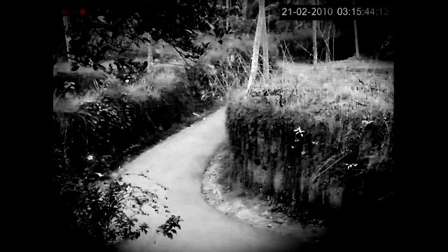 Scary videos Ghost Caught on CCTV camera From A Haunted Forest Road